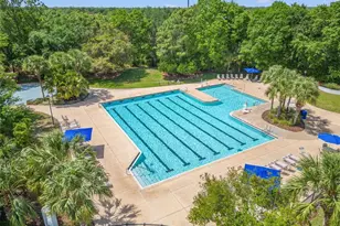 15714 Ibisridge Dr, Lithia, FL 33547 - Photo 49