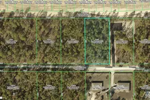 11465 Thames Ave, Weeki Wachee, FL 34614 - Photo 1