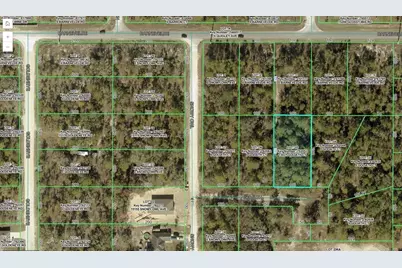 13031 Goliath Court, Weeki Wachee, FL 34614 - Photo 1
