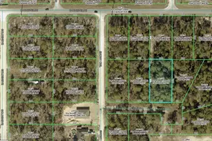 13031 Goliath Ct, Weeki Wachee, FL 34614 - Photo 1