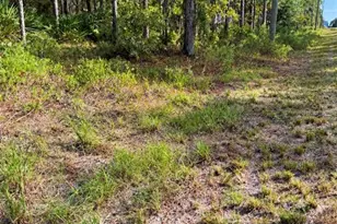 16154 Malden Rd, Weeki Wachee, FL 34614 - Photo 1