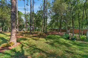 28329 Lindenhurst Dr, Wesley Chapel, FL 33544 - Photo 55