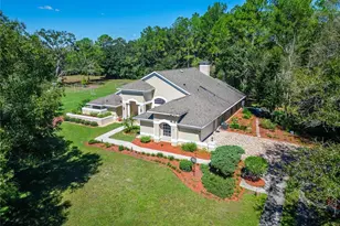 28329 Lindenhurst Dr, Wesley Chapel, FL 33544 - Photo 75