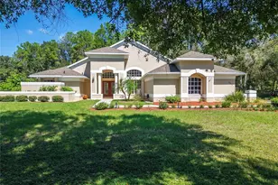 28329 Lindenhurst Dr, Wesley Chapel, FL 33544 - Photo 1