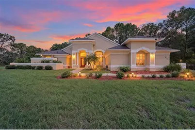 28329 Lindenhurst Drive, Wesley Chapel, FL 33544 - Photo 3