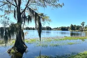 16634 Brigadoon Dr, Tampa, FL 33618 - Photo 31