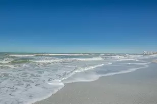1310 Gulf Blvd, Clearwater, FL 33767 - Photo 65