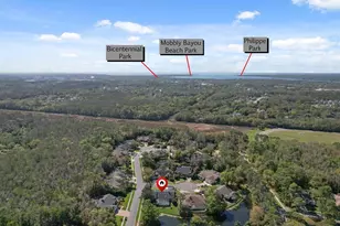 10 Windrush Ct, Oldsmar, FL 34677 - Photo 49