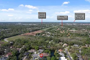 10 Windrush Ct, Oldsmar, FL 34677 - Photo 49
