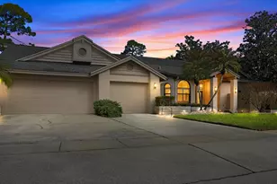10 Windrush Ct, Oldsmar, FL 34677 - Photo 55