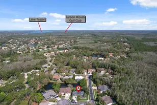 10 Windrush Ct, Oldsmar, FL 34677 - Photo 51