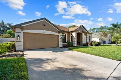 20750 Orchardtown Drive, Land O Lakes, FL 34638 - Photo 3