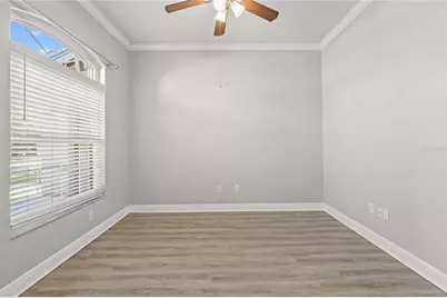20750 Orchardtown Drive, Land O Lakes, FL 34638 - Photo 7