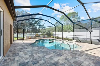 20750 Orchardtown Drive, Land O Lakes, FL 34638 - Photo 45