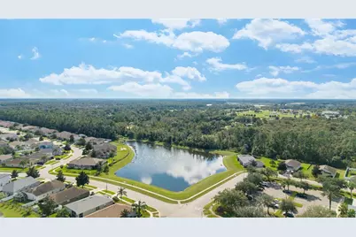7619 Crescent Palm Drive, Wesley Chapel, FL 33545 - Photo 49