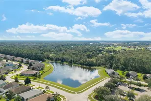 7619 Crescent Palm Dr, Wesley Chapel, FL 33545 - Photo 49