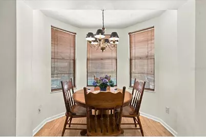 26953 Coral Vine Lane, Wesley Chapel, FL 33544 - Photo 39