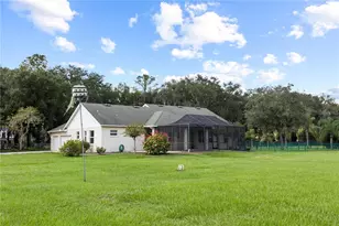 6514 Lake Irene Dr, Land O Lakes, FL 34638 - Photo 63