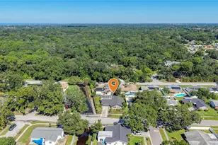 1852 Sourwood Blvd, Dunedin, FL 34698 - Photo 41