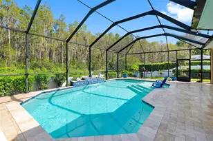 2749 Verona Ln, Odessa, FL 33556 - Photo 31