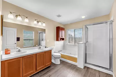 18801 Sunterra Drive, Land O Lakes, FL 34638 - Photo 21