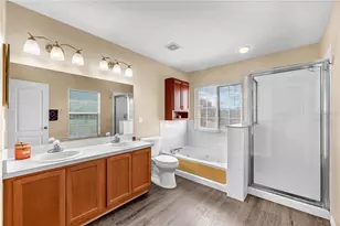 18801 Sunterra Dr, Land O Lakes, FL 34638 - Photo 21