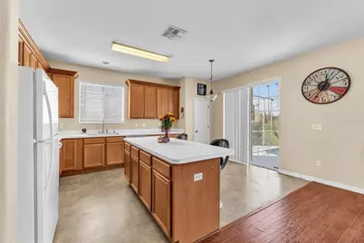 18801 Sunterra Drive, Land O Lakes, FL 34638 - Photo 11