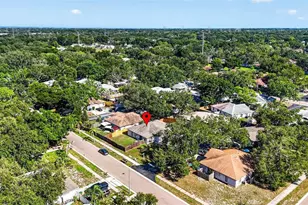 3610 Sammy Ct, Palm Harbor, FL 34684 - Photo 41