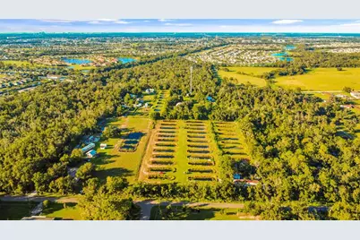 5010 Ruth Morris Road, Wimauma, FL 33598 - Photo 3