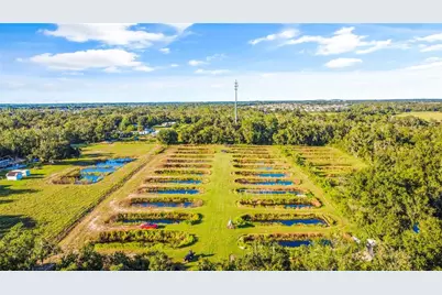 5010 Ruth Morris Road, Wimauma, FL 33598 - Photo 9