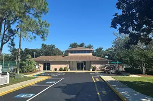6433 Tina Dr, New Port Richey, FL 34653 - Photo 69