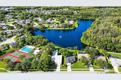 404 Lakeview Drive, Oldsmar, FL 34677 - Photo 43