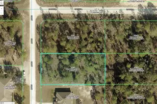 15292 Coot Rd, Weeki Wachee, FL 34614 - Photo 1
