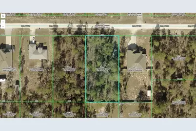 14072 Calypso Avenue, Weeki Wachee, FL 34614 - Photo 1