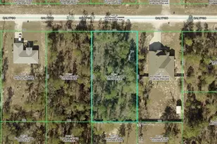 14072 Calypso Ave, Weeki Wachee, FL 34614 - Photo 1
