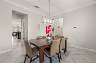 3212 Calvano Dr, Land O Lakes, FL 34639 - Photo 19