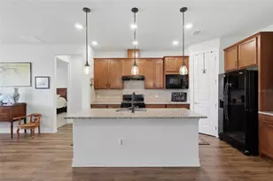 4627 Ballast Crst Cv, Land O Lakes, FL 34638 - Photo 5