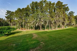 36750 US Hwy 19 N, Palm Harbor, FL 34683 - Photo 3