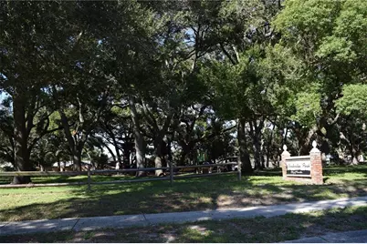 1610 Amberlea Drive N, Dunedin, FL 34698 - Photo 15