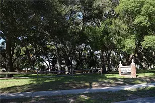 1610 Amberlea Dr N, Dunedin, FL 34698 - Photo 15