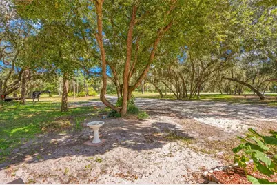 3310 Bob Cat Trail, Lake Wales, FL 33898 - Photo 7