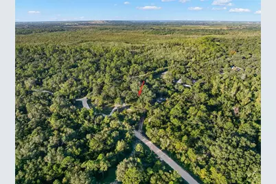 3310 Bob Cat Trail, Lake Wales, FL 33898 - Photo 53