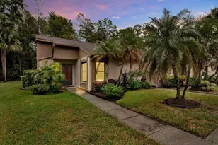 3433 Hillmoor Dr, Palm Harbor, FL 34685 - Photo 19