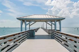 3016 W Ballast Point Blvd, Tampa, FL 33611 - Photo 59