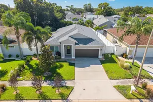 724 Sandy Hills Ave, Tarpon Springs, FL 34689 - Photo 3