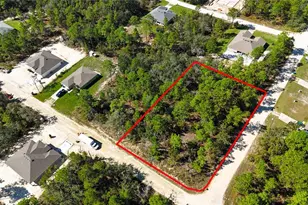 14119 Eastern Phoebe Rd, Weeki Wachee, FL 34614 - Photo 1