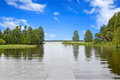 10648 Broadland Pass, Thonotosassa, FL 33592 - Photo 9