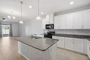 10726 Heron Hideaway Loop, Land O Lakes, FL 34638 - Photo 15