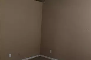 11111 Bramblebrush St, Tampa, FL 33624 - Photo 13
