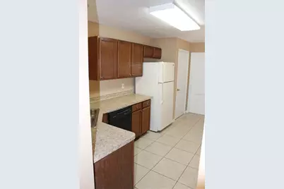 11111 Bramblebrush Street, Tampa, FL 33624 - Photo 5